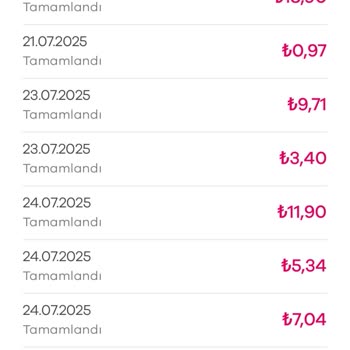 Streetbees Hesabımda Anketler Durdu, Mağduriyetim Giderilmiyor