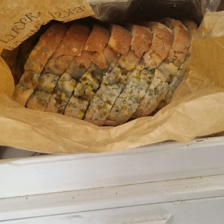 Son Kullanma Tarihi Geçmemiş Ekmeğin Küflü Çıkması Ve Mağazadan Dönüş Alamama