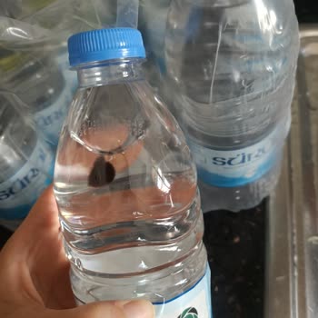 Satın Aldığım Süral Su Şişelerinde Küf Oluşumu Ve Sağlık Endişesi