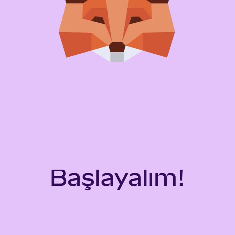 Metamask Cüzdanıma Kurtarma Kelimeleriyle Erişemiyorum Yardım İstiyorum!