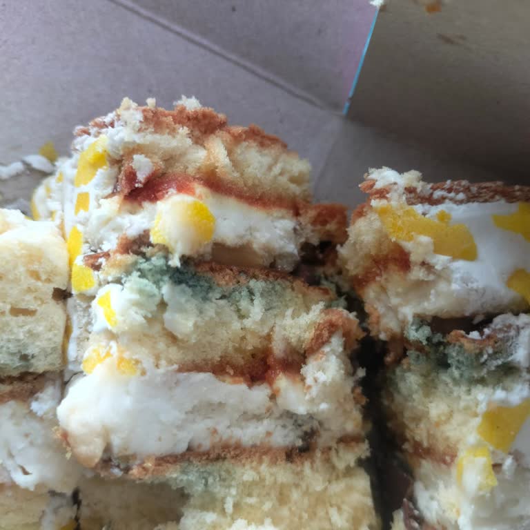 Bilcan Aile Pastanesi Pasta Aldım Ve Bozuk Bir Pasta Çıktı