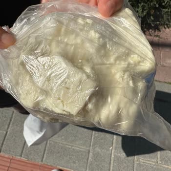 Şavak Peynircilik Bozuk Peynir Satışı