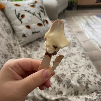 Dondurmadan Çıkan Yabancı Çubuk Parçası Ciddi Sağlık Riski Oluşturdu