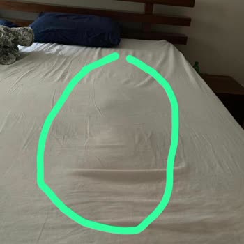 Garanti Kapsamındaki Yatakta Sürekli Şişkinlik Sorunu Ve Çözüm Eksikliği