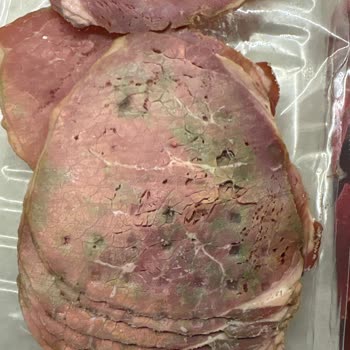 Son Kullanma Tarihi Geçmemiş Füme Et Küflü Çıktı!