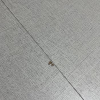 Garanti Süresindeki Masa Takımında Kabarma Sorunu Ve Değişim Talebi