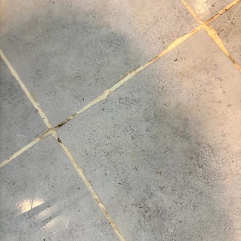 Sentinus Beach Otel'de Hijyen Sorunları Ve İlgisiz Personel Nedeniyle Hayal Kırıklığı