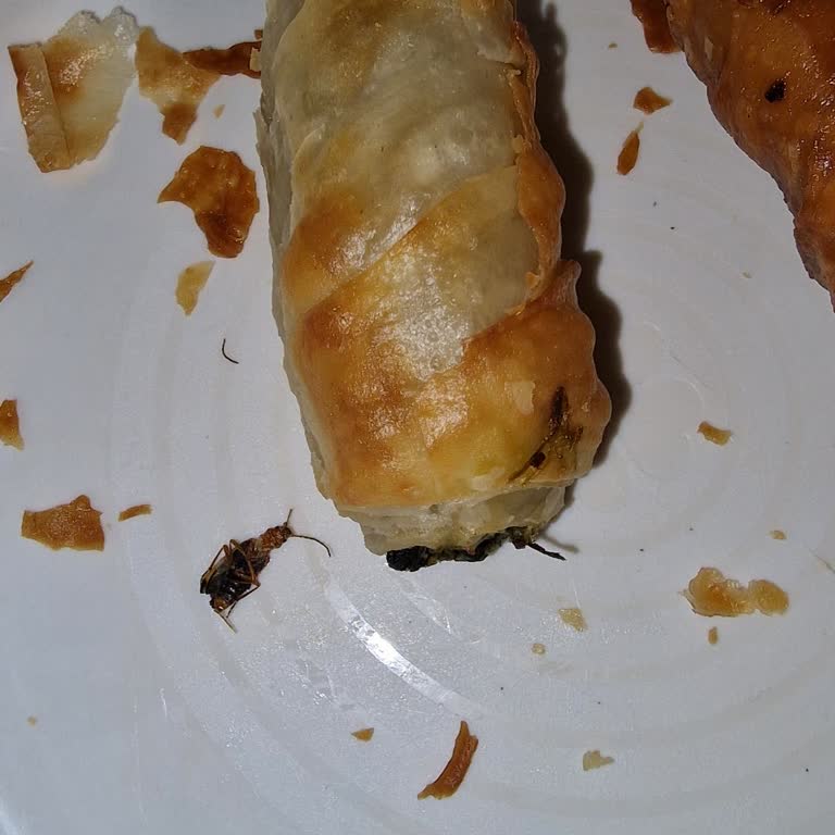 Migros Börekten Böcek Çıktı