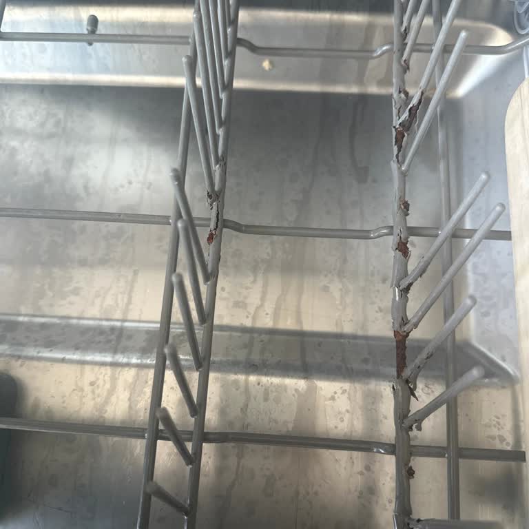 Bulaşık Makinesi Sepetlerinde Erken Kaplama Soyulması Ve Yüksek Yedek Parça Ücreti