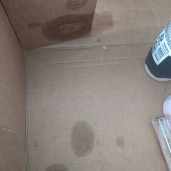 Hasarlı Ürün Teslimatı Ve Müşteri Hizmetlerinden Yanıtsızlık