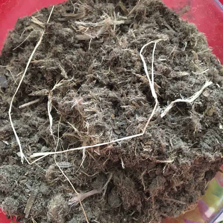 A101'den Aldığım Torf Toprak Paketi Beklenmedik Ve Şüpheli İçerikle Geldi