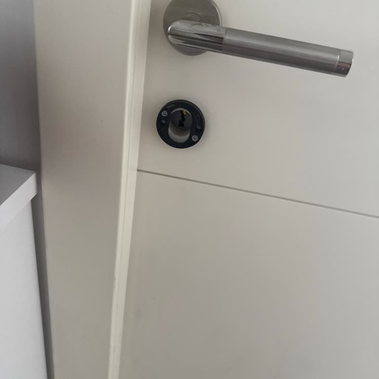 Türkiye Sigorta Evcil Hayvanlar Poliçe Kapsamında Yok Sayıldı!