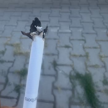 Marlboro Edge Sigaralarda Sürekli Kalite Sorunu Ve Odun Parçaları