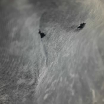 Bosch Washing Machine Damaged My Clothes - I Got No Support