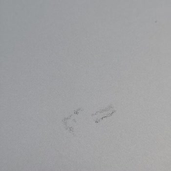 Nissan Qashqai'de Boya Çatlakları Garantiye Alınmadı, Yazılı Gerekçe Sunulmadı