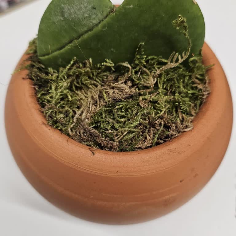 Teslimat Gecikmesi Ve Yanıltıcı Bilgilendirme Nedeniyle Hayal Kırıklığı