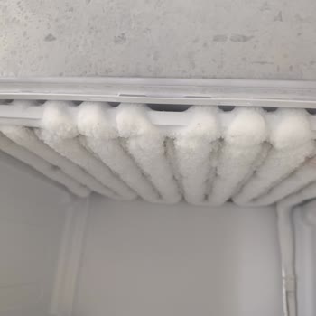 Altus Derin Dondurucu Karlanma Sorunu: Çözüm Sunulmuyor, Mağduriyetim Giderilmiyor