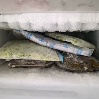 Altus Derin Dondurucu Karlanma Sorunu: Çözüm Sunulmuyor, Mağduriyetim Giderilmiyor