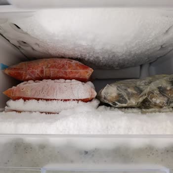 Altus Derin Dondurucu Karlanma Sorunu: Çözüm Sunulmuyor, Mağduriyetim Giderilmiyor