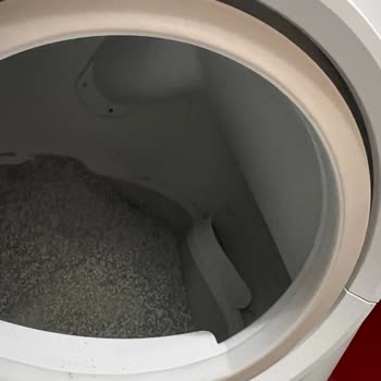 Akıllı Kedi Tuvaletinde Sürekli Arıza ve Koku Sorunu