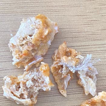 Tarhana Cipsinden Plastik Madde Çıktı, Para İadesi Talep Ediyorum