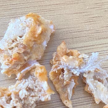 Tarhana Cipsinden Plastik Madde Çıktı, Para İadesi Talep Ediyorum