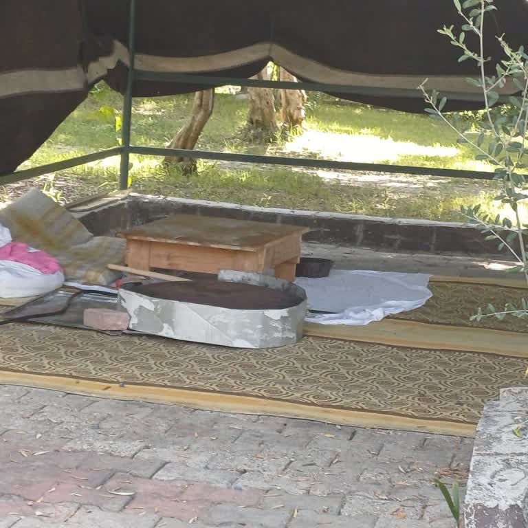 Hijyen Sorunları Ve Sağlık Problemleri Nedeniyle Tatil Hayal Kırıklığı