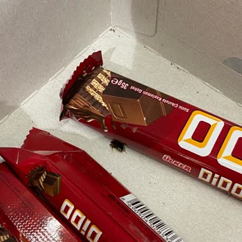 BİM Şubesinde Aldığım Ürünlerde Tekrarlayan Böcek Ve Hijyen Sorunları Sağlığımızı Tehdit Ediyor