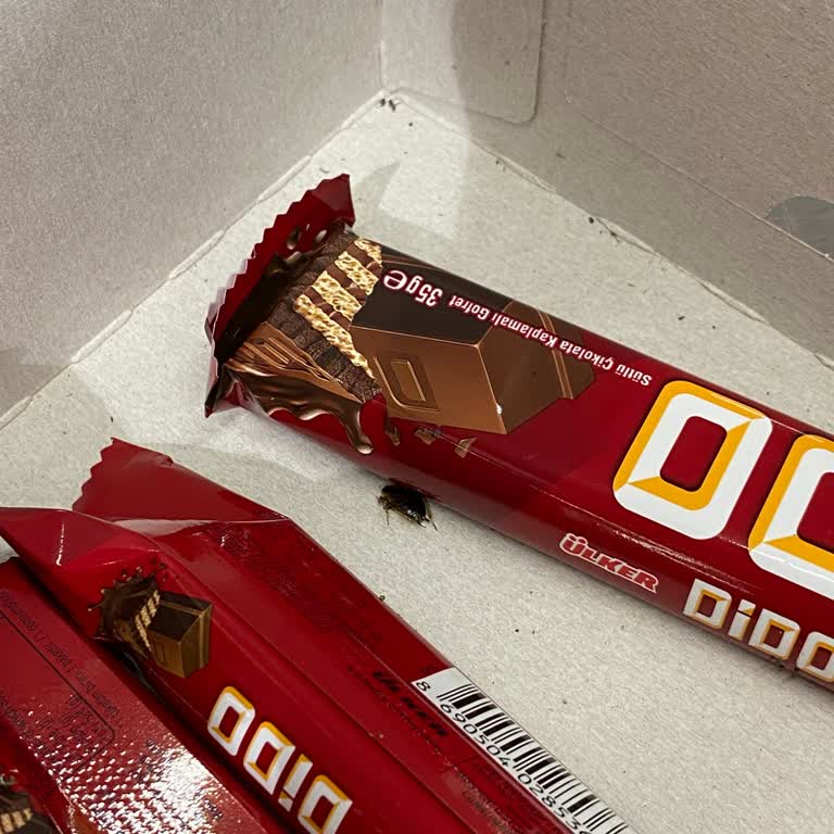 BİM Şubesinde Aldığım Ürünlerde Tekrarlayan Böcek Ve Hijyen Sorunları Sağlığımızı Tehdit Ediyor