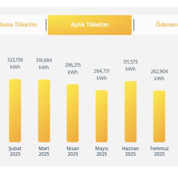 Düşük Tüketime Rağmen Elektrik Faturalarındaki Anormal Artışa Çözüm Bekliyorum