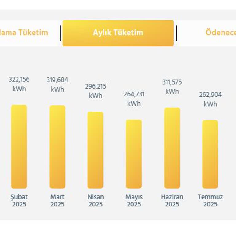 Düşük Tüketime Rağmen Elektrik Faturalarındaki Anormal Artışa Çözüm Bekliyorum