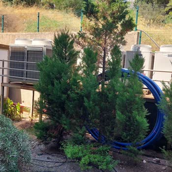 Rezervasyonumuzun Karşılığı Olan Oda Verilmedi, Mağduriyetimiz Giderilmedi