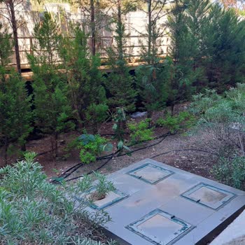 Rezervasyonumuzun Karşılığı Olan Oda Verilmedi, Mağduriyetimiz Giderilmedi