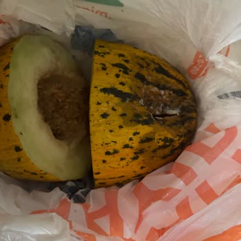 Bozuk Ve Eksik Ürünler, Yetersiz Müşteri Hizmeti: Migros Sanal Market Hayal Kırıklığı