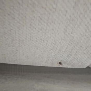 Çağrı Concept (İzmir) Kusurlu Ürünler ve İlgisizlik