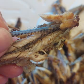 Aldığım Dondurulmuş Hamsi Bayat Ve Temizlenmemiş Çıktı, Paramı Geri İstiyorum