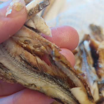 Aldığım Dondurulmuş Hamsi Bayat Ve Temizlenmemiş Çıktı, Paramı Geri İstiyorum