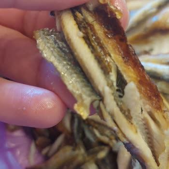 Aldığım Dondurulmuş Hamsi Bayat Ve Temizlenmemiş Çıktı, Paramı Geri İstiyorum