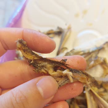 Aldığım Dondurulmuş Hamsi Bayat Ve Temizlenmemiş Çıktı, Paramı Geri İstiyorum