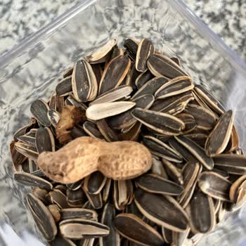 Aldığım Çekirdek Paketinden Kabuk Ve Fıstık Çıktı Kalite Beklentim Karşılanmadı