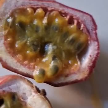 Getirden Aldığım Tüm Ürünler Bozuk Çıktı İade Talebim Reddedildi