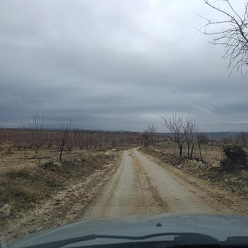 Yıllardır Çamur İçinde Kalan Yolumuz Acilen Asfaltlansın