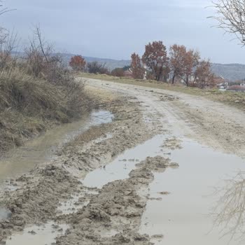 Yıllardır Çamur İçinde Kalan Yolumuz Acilen Asfaltlansın