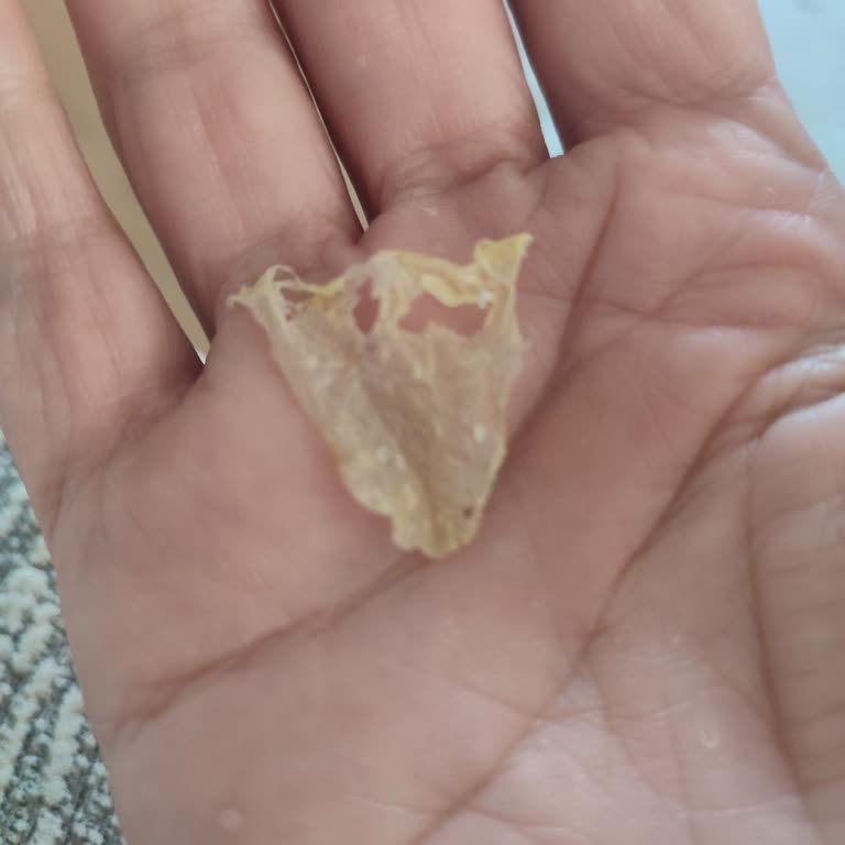 Ahsen Unlu Mamulleri Susamlı Kurabiyeden Naylon Parçası Çıktı