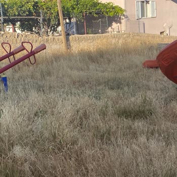 Karpınar Mahallesi Parkının Bakımsızlığı Ve Güvenlik Sorunları Hakkında Şikayet