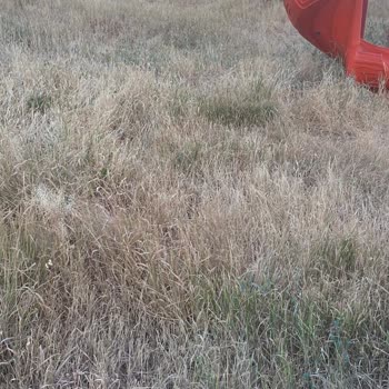 Karpınar Mahallesi Parkının Bakımsızlığı Ve Güvenlik Sorunları Hakkında Şikayet