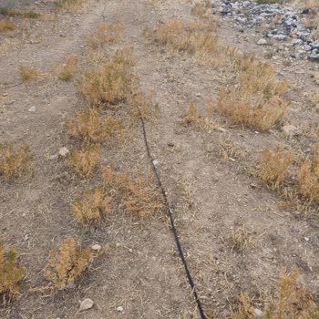 İki Aydır Süren İnternet Kesintisi Ve Kalıcı Çözüm Eksikliği