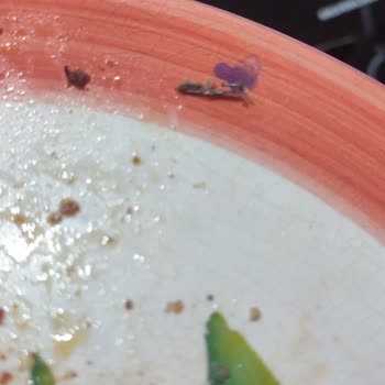 Satın Aldığım Dana Kıymadan Zımba Teli Çıktı, Sağlığım Tehlikeye Girdi