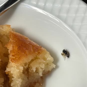 Tatlı Ürünlerinde Hijyen ve Müşteri Hizmeti Sorunu