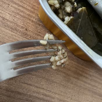 A101'den Aldığım Yaprak Sarmada Hijyen Sorunu Ve Yabancı Madde Şikayeti